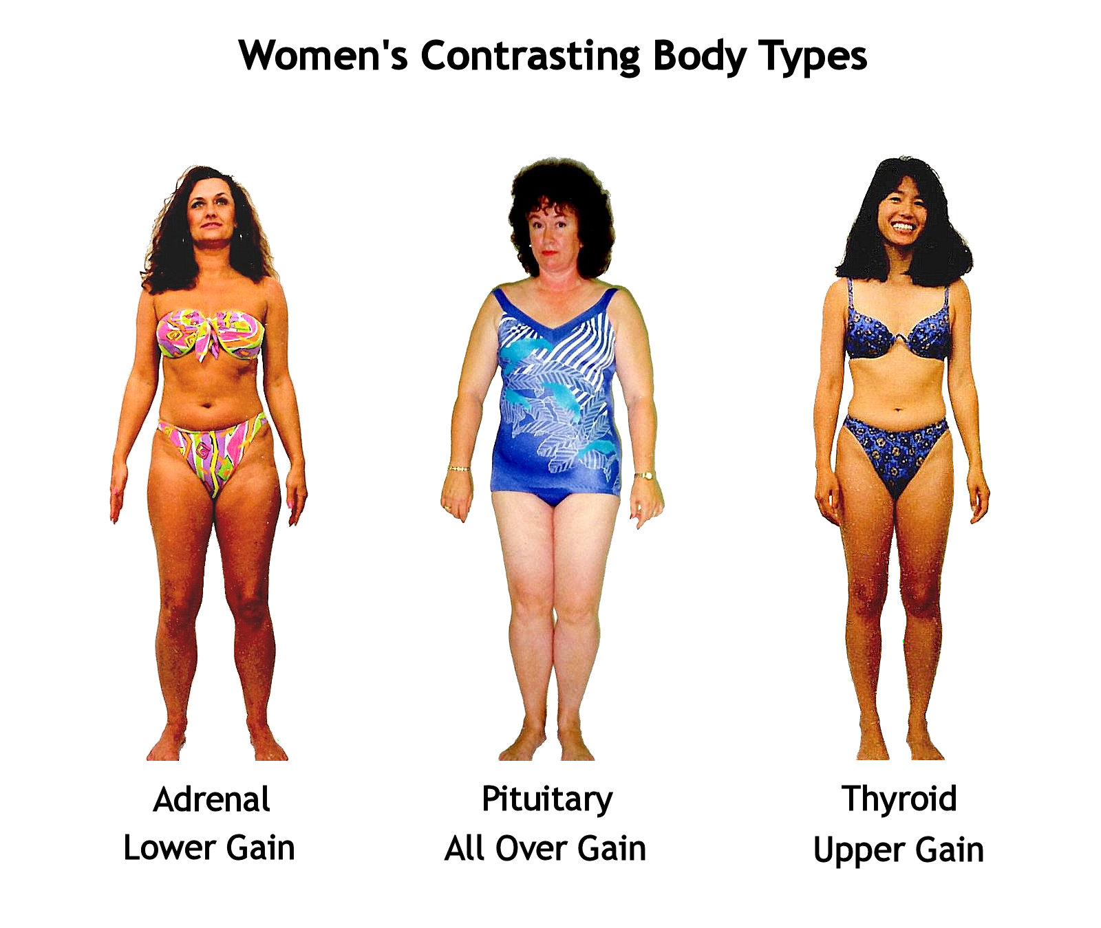 The female body type test for women